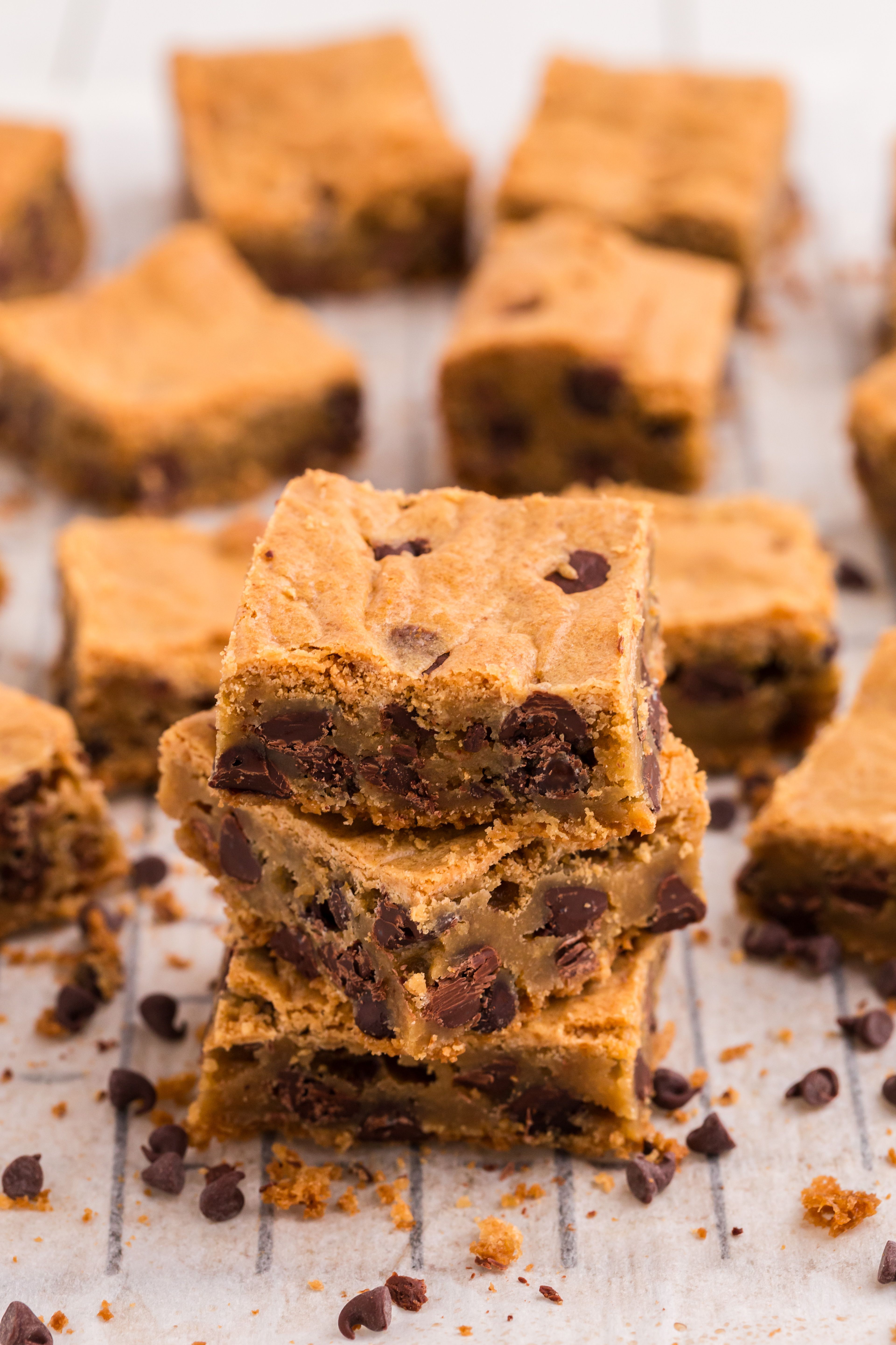 Brown Butter Chocolate Chip Blondies- Large Bar