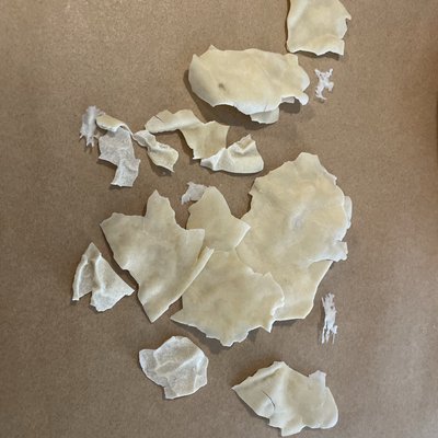 Dehydrated Sourdough Starter