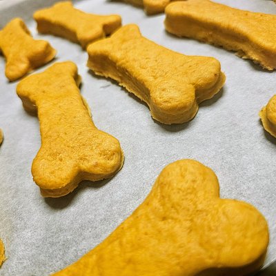 Dog TREATS. [12] 