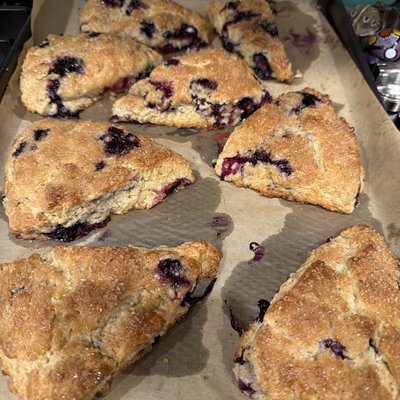 Blueberry Lemon Glaze Scones (4 ct)