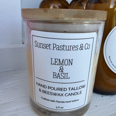 Tallow Candle