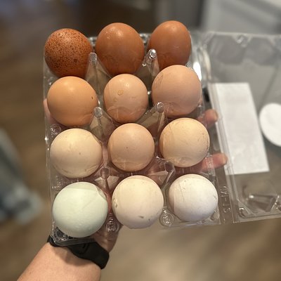 Dozen Eggs 