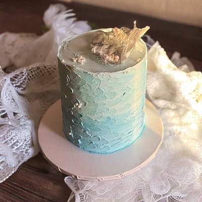 6in Cake- (feeds 12-15)