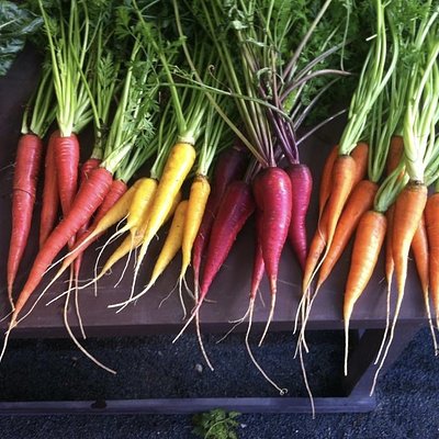 Carrots  - Mixed Colours