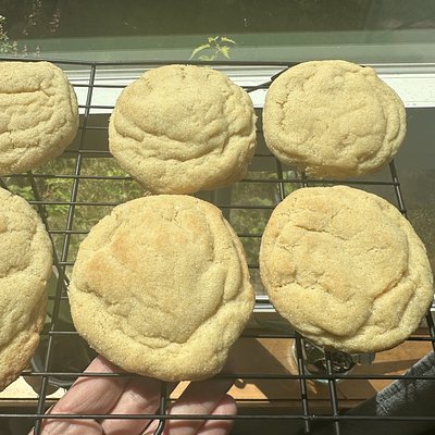 Sugar Cookies 6 Pack
