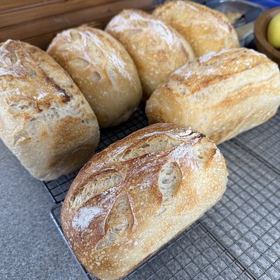 Classic Sourdough Loaf 