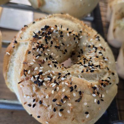 Everything Seasoning Bagels