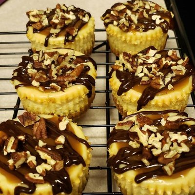 Turtle Mini Cheesecake 