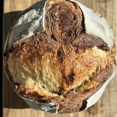 Chocolate Chip & Brown Sugar Sourdough 