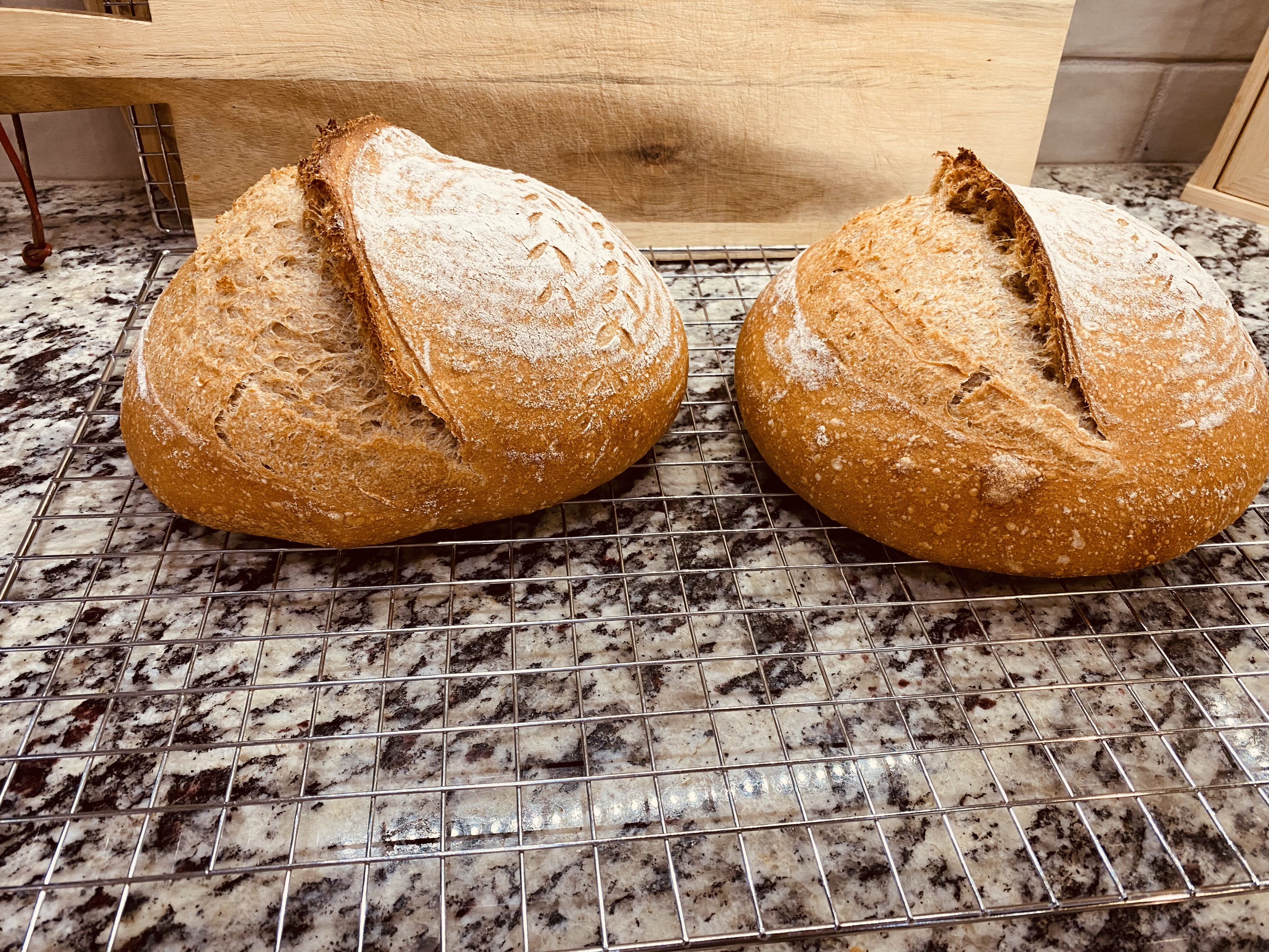 Organic Rouge De Bordeaux Round Loaf