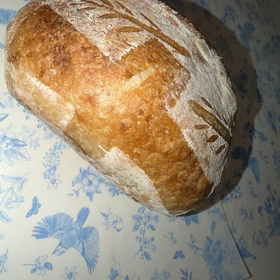 Plain Sourdough loaf 