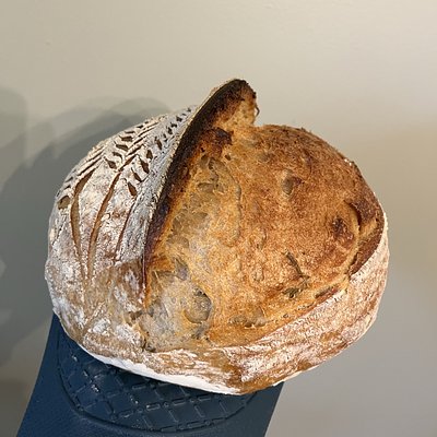 Rosemary Wheat Sourdough 