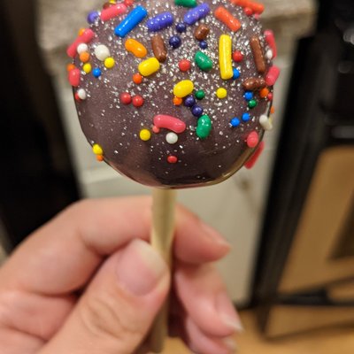 Cakepops (24)