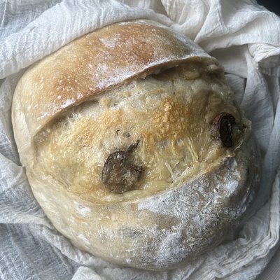 Wild Mushroom And Swiss Sourdough