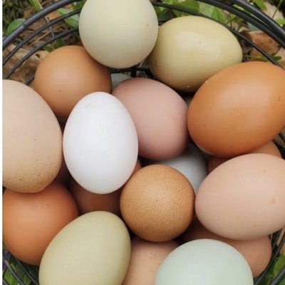 Fresh eggs By The Dozen
