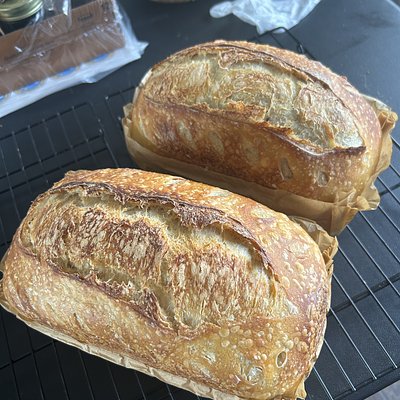 Artisan Bread ~ Sourdough Loaf