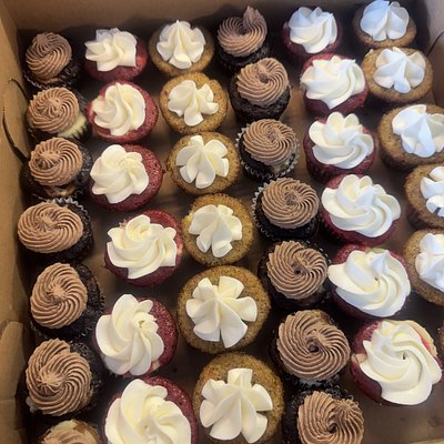 Mini Cupcakes