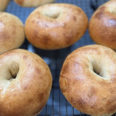 1/2 Dozen Plain Bagels