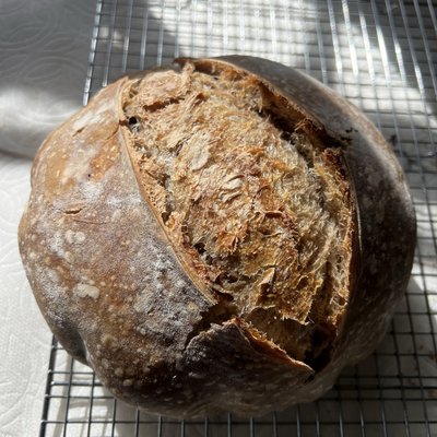 Cinnamon Sugar & Raisin Sourdough Loaf