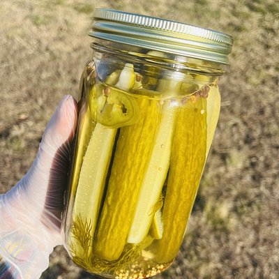 Spicy Dill Pickle Spears 32 Oz