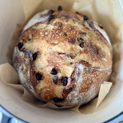 Chocolate Chip Sourdough Loaf