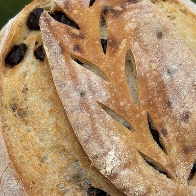 Chocolate Chip Sourdough 