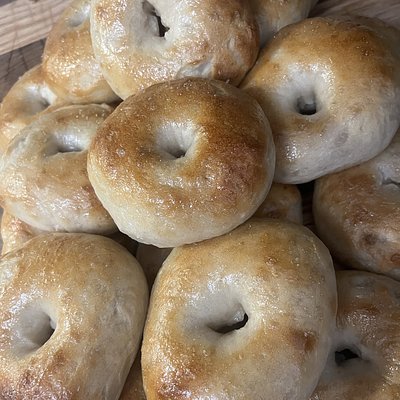 Sourdough Plain Bagels
