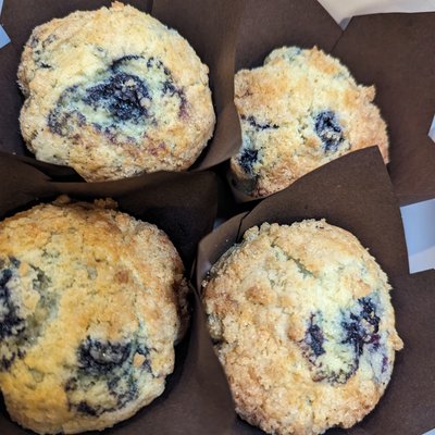 Blueberry Muffin