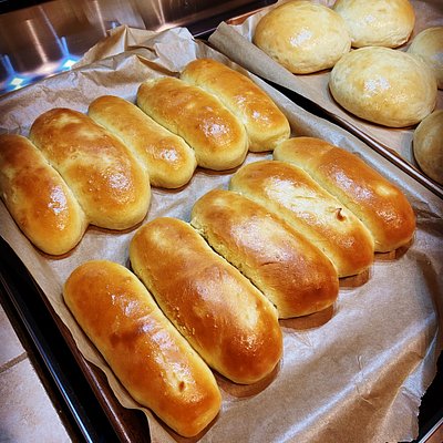 Sandwich /hotdog Rolls
