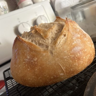 Plain Loaf 