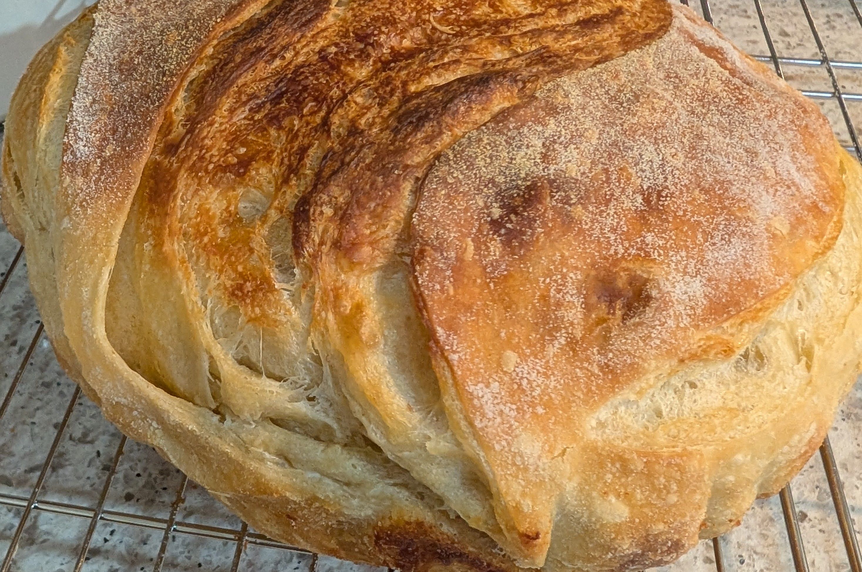 Croissant Sourdough