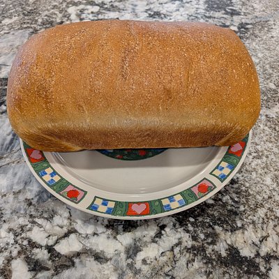 White Loaf (9x5)
