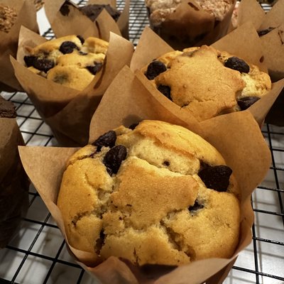 Chocolate Chip Muffins (DF option)
