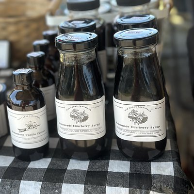 Elderberry 
