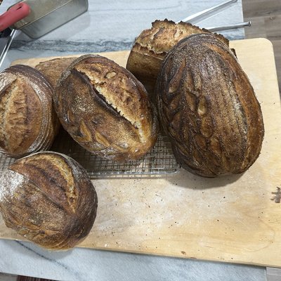 Mischbrot( Organic Rye + Organic Wheat) 750Gm/26.45oz