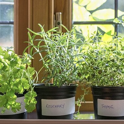 Folk Learning - Summer Hearth @ SWAGG 5/31/26 @1pm