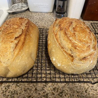 Plain Sourdough