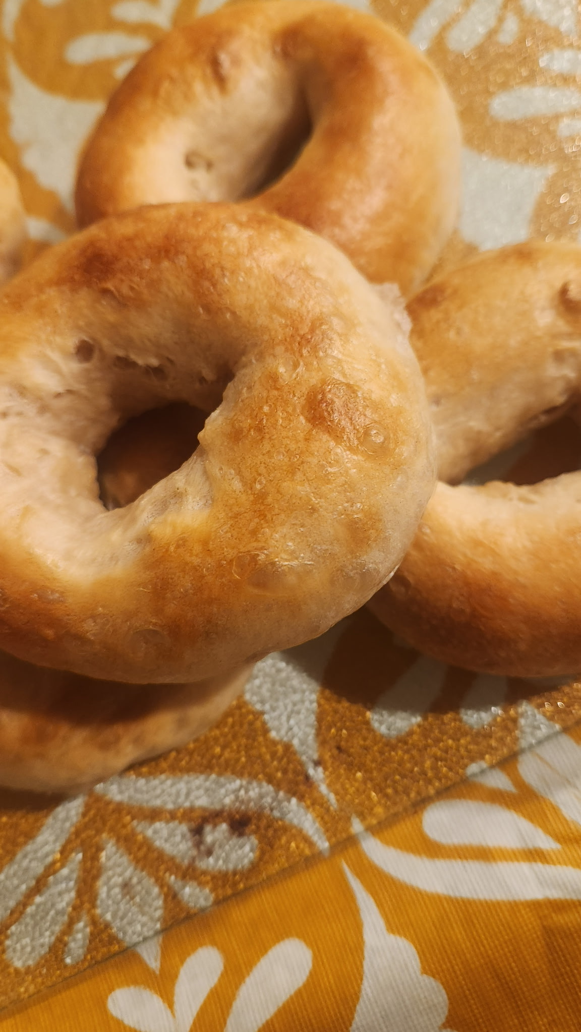 Plain Bagels