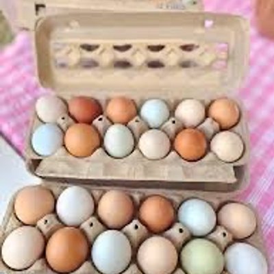 1 Dozen Eggs 