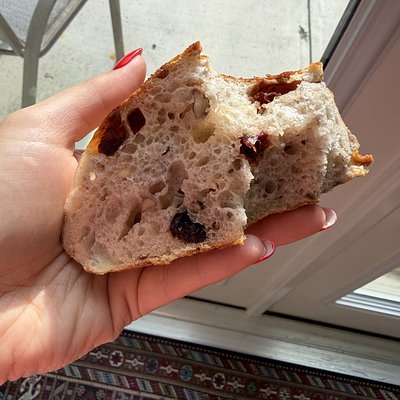 Cranberry walnut sourdough loaf 