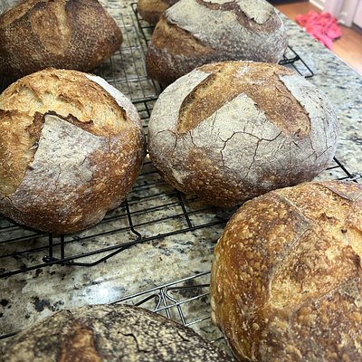 Italian Herb & Cheese - Small Boule