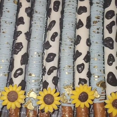 Chocolate Covered Pretzels Rods 