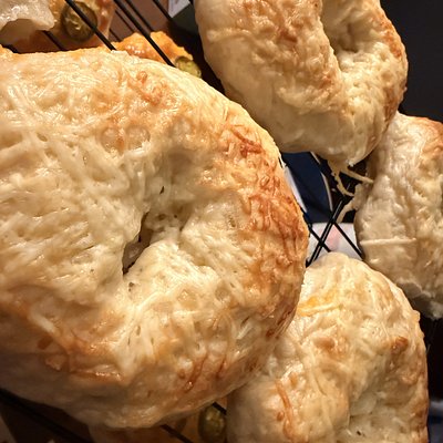 Asiago Sourdough Bagels