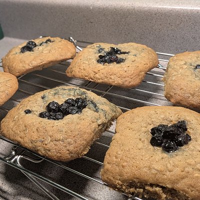 Sourdough Blueberry Turnover Cookies 