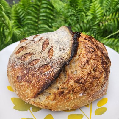 Garlic Rosemary Sourdough Boule 