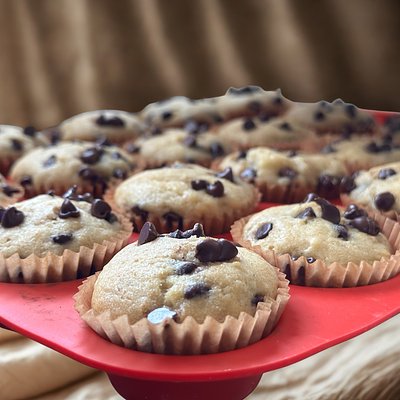Sourdough Chocolate Chip Mini Amish Friendship Muffins 