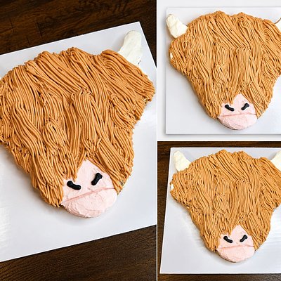 Medium Shapes Single Layer 
