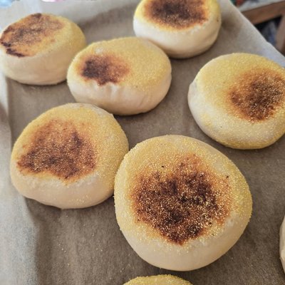Sourdough English Muffins