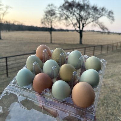 Eggs - 1 Dozen Unwashed
