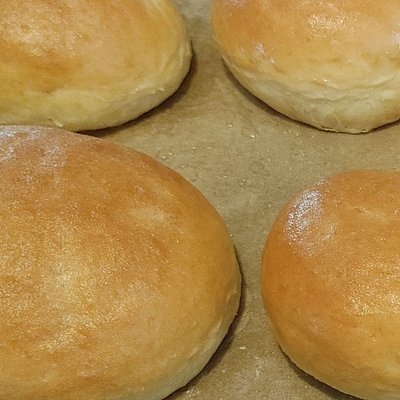 Hamburger Bun